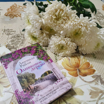 Люсинда Райли: Оливковое дерево