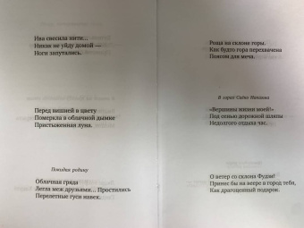 Мацуо Басё: "Лик вечерней луны". Хайку