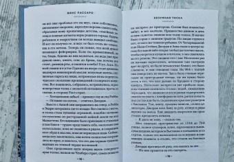 Винс Пассаро: Безумная тоска