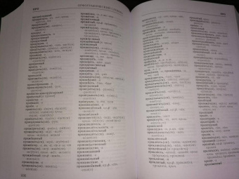 Дитмар Розенталь: Классический справочник по русскому языку. Орфография. Пунктуация. Орфографический словарь