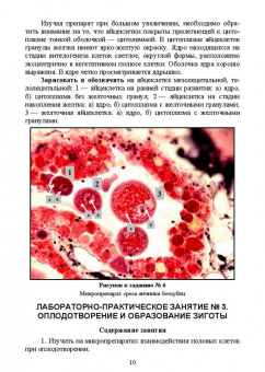 Гореликов, Шакирова: Биология размножения и развития. Лабораторный практикум. Учебно-методическое пособие