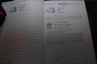 Екатерина Мириманова: Система минус 60. Дневник волшебницы 2012