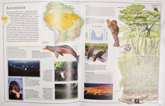 Бамбарадения, Вудрафф, Гинзберг: Животный мир. Иллюстрированный атлас