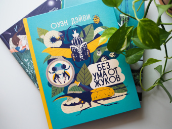 Оуэн Дэйви: Без ума от жуков