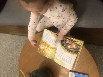 Сергей Духин: Приключения лисёнка Джимми. Маленький храбрец