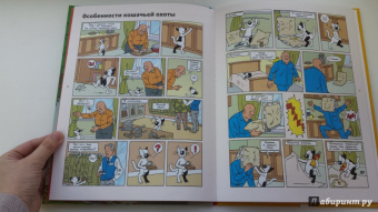 Снегирев, Снегирева: Кешка без тормозов