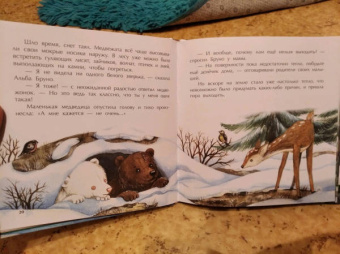 Татьяна Григорьян: Другая Альба. Сказка об уникальной внешности медвежонка