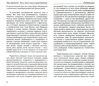Шри Ауробиндо и Мать: Поиск смысла и цели жизни. Трудности пути