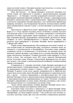 Сахно, Ватников, Шевченко: Экосистемы микроорганизмов. Учебное пособие для СПО