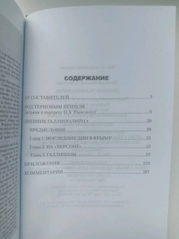 Николай Раевский: Дневник галлиполийца