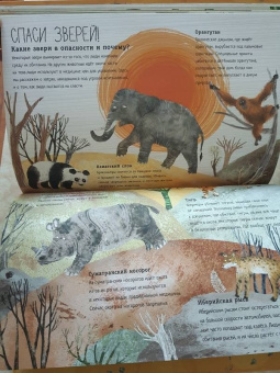 Зоммер, Тейлор: Большая книга зверей