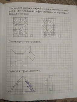 Математические прописи. Учим цифры и решаем логические задачки. 6 лет. Пиши, решай, логику развивай