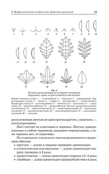 Попова, Попов, Харахонова: Древесные растения лесных, защитных и зеленых насаждений. Учебное пособие для СПО