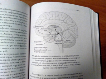 Эрик Кандель: Расстроенная психика
