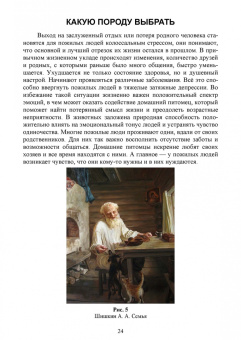 Владимир Евтухович: Содержание собаки в городе. Уход, воспитание и дрессировка. Учебное пособие для СПО