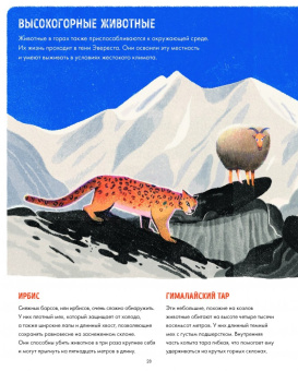 Сангма Фрэнсис: Эверест