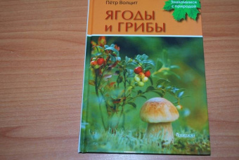 Петр Волцит: Ягоды и грибы