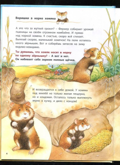 Фридерун Райхенштеттер: Кроты и другие подземные жители. Познавательные истории