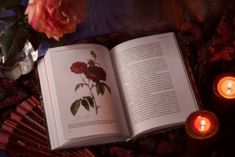 Майкл Аллаби: Скандальная правда о сексуальной жизни растений