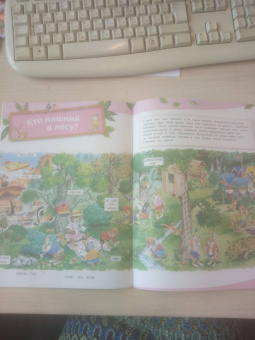 Анна Казалис: В лесу. Книга с наклейками