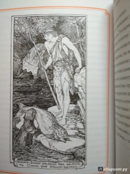Оранжевая книга сказок