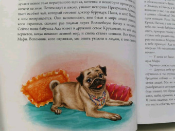 Дарья Донцова: Замок злых мыслей