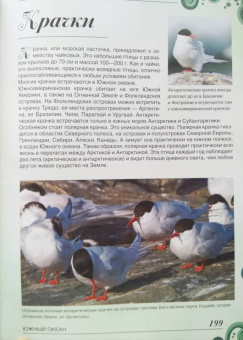 Вячеслав Ликсо: Большая книга о подводном мире. 1001 фотография