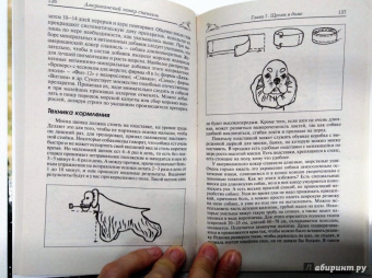 Марина Исайкина: Американский кокер спаниель. История. Стандарты. Содержание. Разведение. Выставки