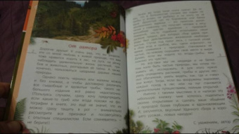 Петр Волцит: Ягоды и грибы