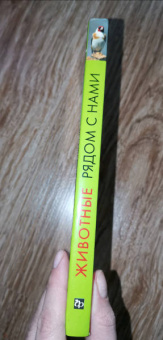 Владимир Бабенко: Животные рядом с нами