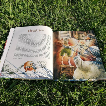 Анна Никольская: Книга чуДОМищ