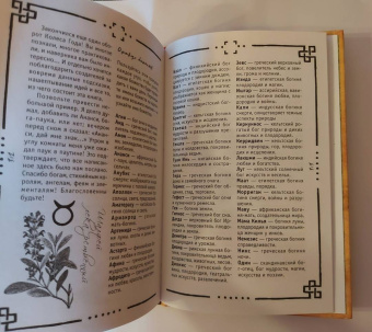 Арабо Саргсян: Викка. Книга теней
