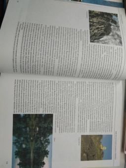 Черноскутов, Шинкаренко: Зеленые горы, пестрый народ. В поисках связующих нитей. По следам путешествий Д. Н. Мамина-Сибиряка