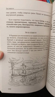 Рами Блект: Три энергии. Забытые каноны здоровья и гармонии