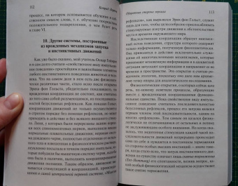 Конрад Лоренц: Оборотная сторона зеркала