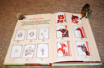 Александра Хворост: Кто ограбил миссис Рэббит?