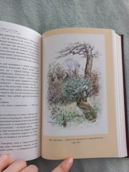 Джейн Остен: Гордость и предубеждение. Доводы рассудка