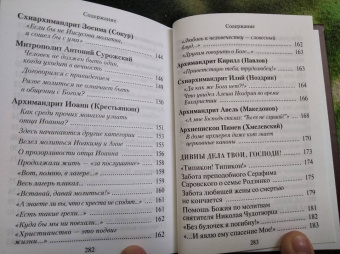 Н. Скоробогатько: "Душу спасти - не лапоть сплести". Опыт современного отечника для мирян