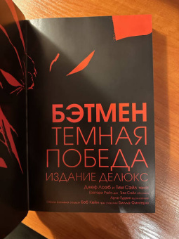 Лоэб, Сэйл: Бэтмен. Темная победа
