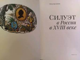 Петр Дружинин: Силуэт в России в XVIII веке