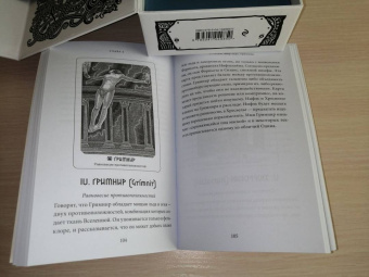 Хаук Халльдорсон: Иггдрасиль. Скандинавский оракул (81 карта и руководство для гадания в подарочном футляре)
