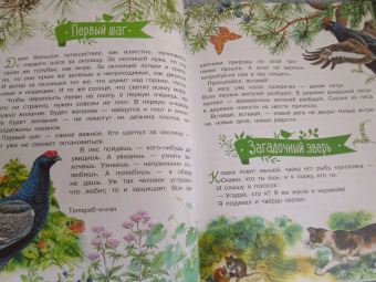 Николай Сладков: Лесные сказки