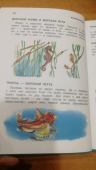 Святослав Сахарнов: В мире дельфина и осьминога