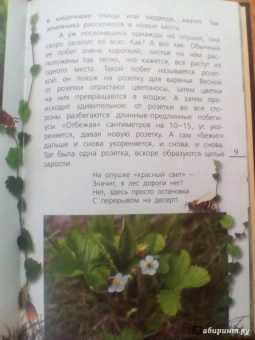 Петр Волцит: Ягоды и грибы