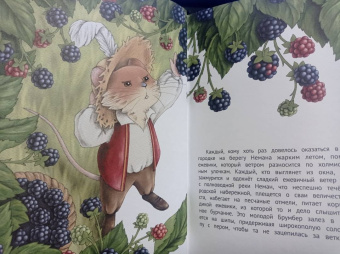 Ирина Данилова: Честный Брумбер