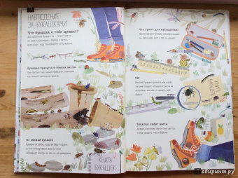 Зоммер, Тейлор: Большая книга букашек