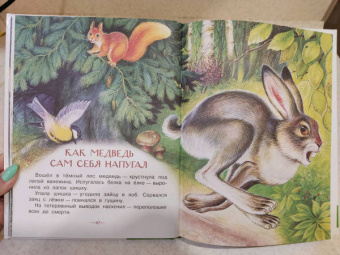 Николай Сладков: Бюро лесных услуг