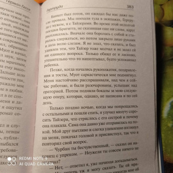 Герман Гессе: Демиан. Гертруда