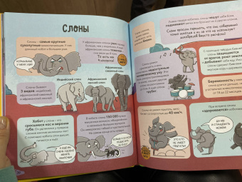 Noodle Fuel: Звери. От броненосца до зебры. Самые невероятные факты, рекорды и достижения