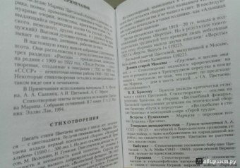Марина Цветаева: Великие поэты мира
